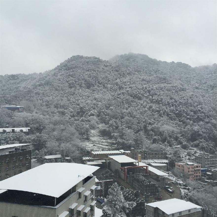 濾油機濾芯_重慶下雪啦